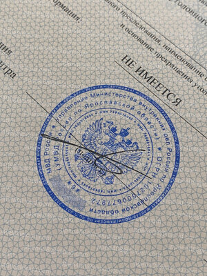 IMG_2303 Крупный.jpeg