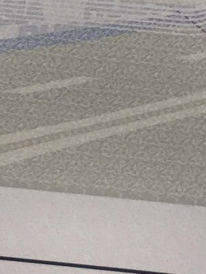 IMG_20230711_141653_113.jpg