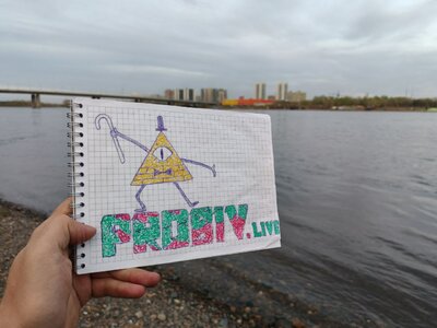 чипуля.jpg