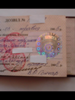 image (1).png
