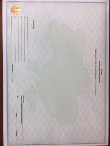 IMG_20170728_021019.jpg