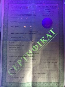 IMG_20170730_055047.jpg