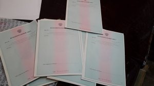 2017-07-17 13.52.44.jpg