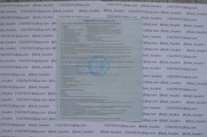 DSC_1282.jpg