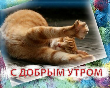 569b23d7cf29b.jpg