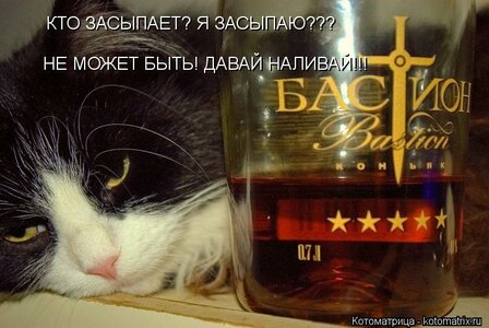 kotomatritsa_mk.jpg